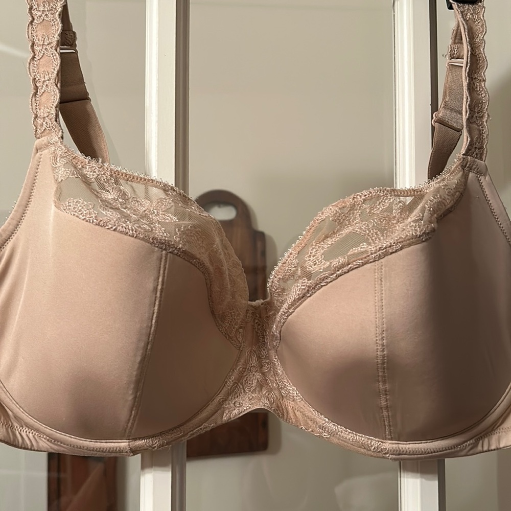 Nude Lace-Trim Underwire Bra